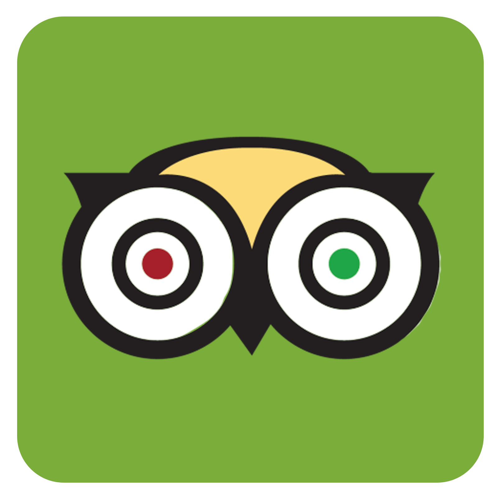 tripadvisor